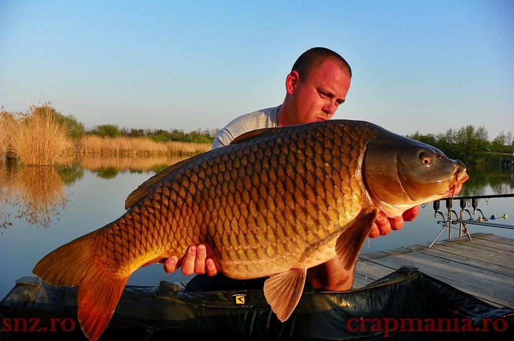 Trofeul tancabesti 2013 - 1012367.jpg